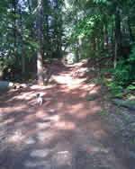 Lake Norman Homes for sale